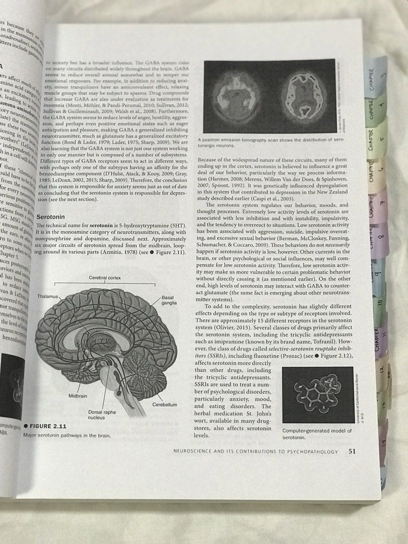 Abnormal Psychology by Barlow (8th Edition) (Category: Textbooks) located in Cavite. Submitted by thisiszai (Listing ID 1461423231, Image 2). Description: Condition: 9/10 (has a few pen markings on chapter 1 that can be erased, with annotation tabs, no missing pages, visible tape marks are present on the plastic cover only, not on the book cover itself.) Delivery: JnT, Angkas padala, or Lalamove (To be shouldered by the buyer) Location: General T