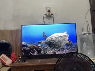 (Kategori: ) berada di . Dikirim oleh danisa2511 (ID iklan 1461536168, Gambar 1). Deskripsi: .