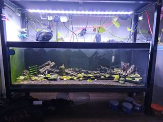 (Category: ) located in . Submitted by passerby15 (Listing ID 1427591437, Image 1). Description: .