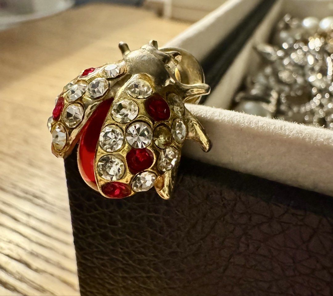 Big & Small Vintage Ladybug Brooches (Category: Brooches) located in Davao. Submitted by buymyclosetph (Listing ID 1461439804, Image 2). Description: —- Brooches sourced in Japan —- Take both for 800 It is used, there is fading. .