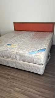 (Category: ) located in . Submitted by christinagohck-81517 (Listing ID 1461411573, Image 1). Description: .