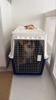 (Category: ) located in . Submitted by chaserino (Listing ID 1461448361, Image 1). Description: .