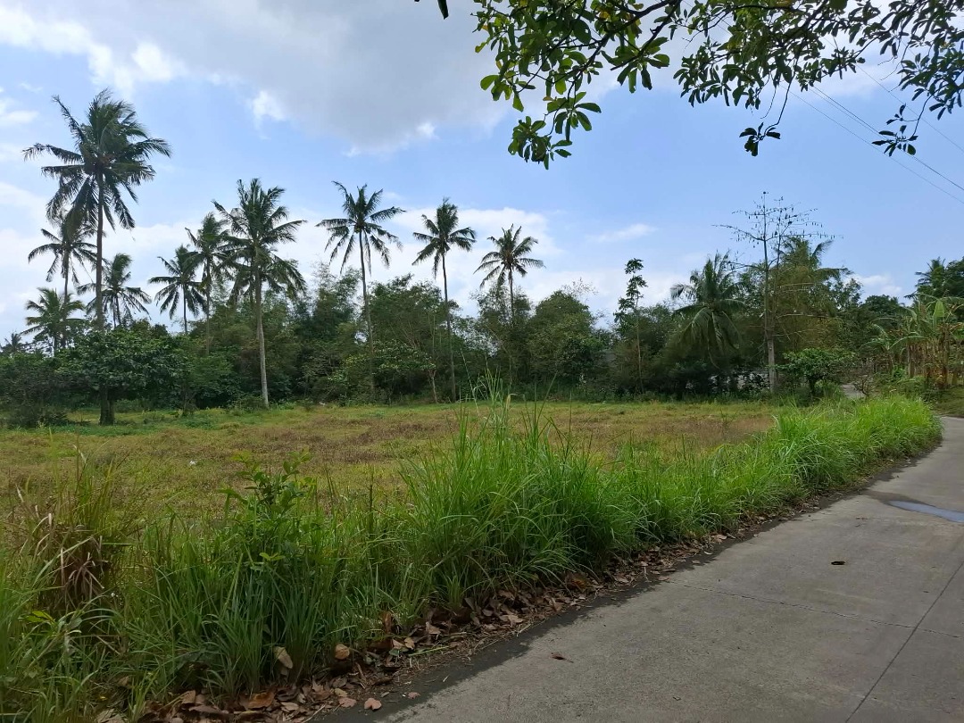 (Category: ) located in . Submitted by maeh.110611 (Listing ID 1461480108, Image 1). Description: .