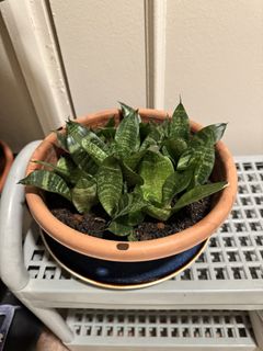 (Category: ) located in . Submitted by tgk1969 (Listing ID 1461525564, Image 1). Description: .
