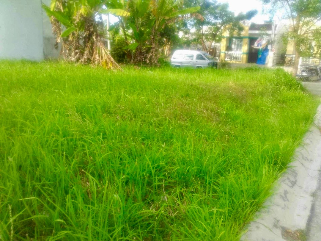 (Category: ) located in . Submitted by jpsumera (Listing ID 1461392115, Image 1). Description: .