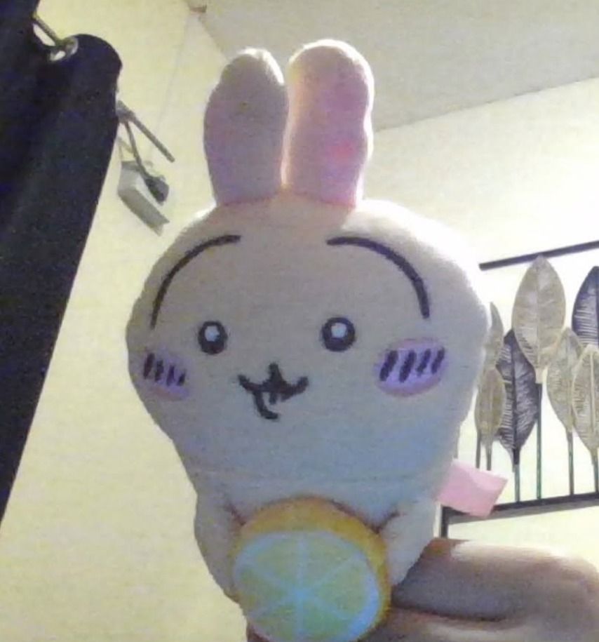 Suppa usagi plush charm/ chiikawa / chikawa / usagi (Category: Plushies & Soft Toys) located in Batangas. Submitted by unasaging (Listing ID 1461492596, Image 1). Description: PLEASE READ! issue changed ballchain and wala na yung suppa na name sa ballchain.