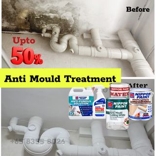 MOULD Treatment  收藏品 3