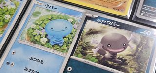 Pokedex Collection item 2