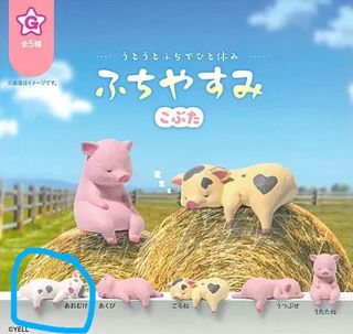 （分類：）位於 。 由 balloonat 提交（商品編號 1461520063，圖片 1）。簡介： 。