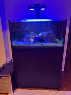 (Category: ) located in . Submitted by koelle (Listing ID 1461692592, Image 1). Description: .
