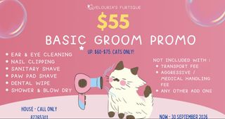 (Category: ) located in . Submitted by velouriasfurtique (Listing ID 1461738234, Image 1). Description: .