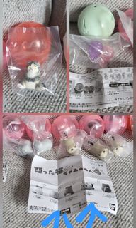 （分類：）位於 。 由 jenjen_3 提交（商品編號 1461698787，圖片 1）。簡介： 。