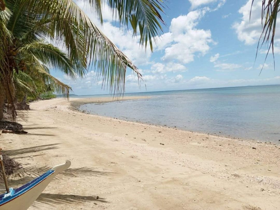 🏝️ BEACHFRONT PROPERTY FOR SALE 🌅 (Category: Lot) located in Quezon. Submitted by majoador (Listing ID 1461733179, Image 1). Description: 🏝️ BEACHFRONT PROPERTY FOR SALE 🌅 📍 Location: Brgy. Tala Andres, Quezon 📐 Lot Area: 1,165 sqm 🏷️ Selling Price: PHP 2.7m 🌊 Beach Frontage: 15 meters wide 🚙 With own right of way accessible by car 5 metes wide ( 5 minutes from Nat. Road) ✨ Clean Title 🌅 Sunrise view in front 🌴More coconut Trees 🌊 Hig