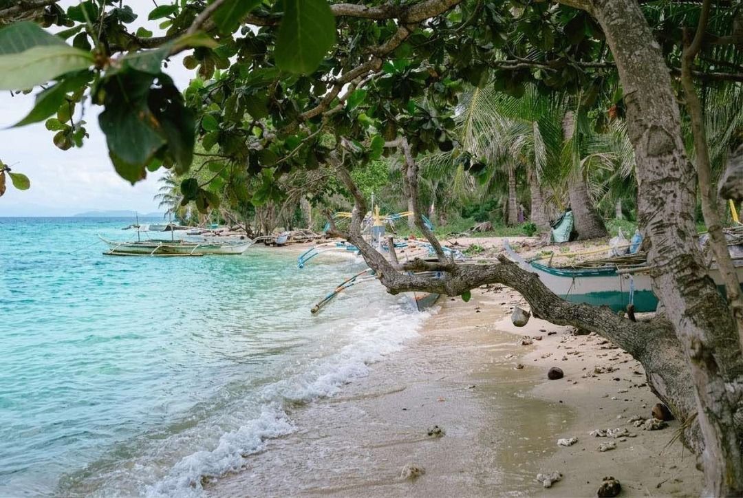🏝️ BEACHFRONT PROPERTY FOR SALE 🌅 (Category: Lot) located in Quezon. Submitted by majoador (Listing ID 1461733179, Image 2). Description: 🏝️ BEACHFRONT PROPERTY FOR SALE 🌅 📍 Location: Brgy. Tala Andres, Quezon 📐 Lot Area: 1,165 sqm 🏷️ Selling Price: PHP 2.7m 🌊 Beach Frontage: 15 meters wide 🚙 With own right of way accessible by car 5 metes wide ( 5 minutes from Nat. Road) ✨ Clean Title 🌅 Sunrise view in front 🌴More coconut Trees 🌊 Hig