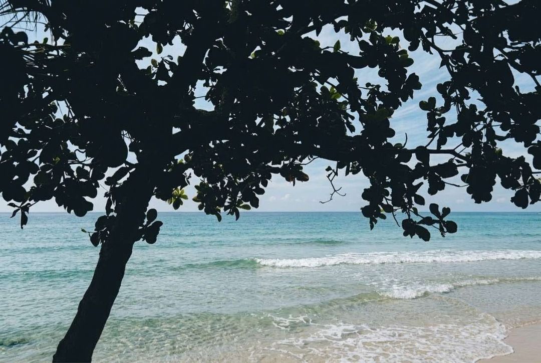 🏝️ BEACHFRONT PROPERTY FOR SALE 🌅 (Category: Lot) located in Quezon. Submitted by majoador (Listing ID 1461733179, Image 3). Description: 🏝️ BEACHFRONT PROPERTY FOR SALE 🌅 📍 Location: Brgy. Tala Andres, Quezon 📐 Lot Area: 1,165 sqm 🏷️ Selling Price: PHP 2.7m 🌊 Beach Frontage: 15 meters wide 🚙 With own right of way accessible by car 5 metes wide ( 5 minutes from Nat. Road) ✨ Clean Title 🌅 Sunrise view in front 🌴More coconut Trees 🌊 Hig