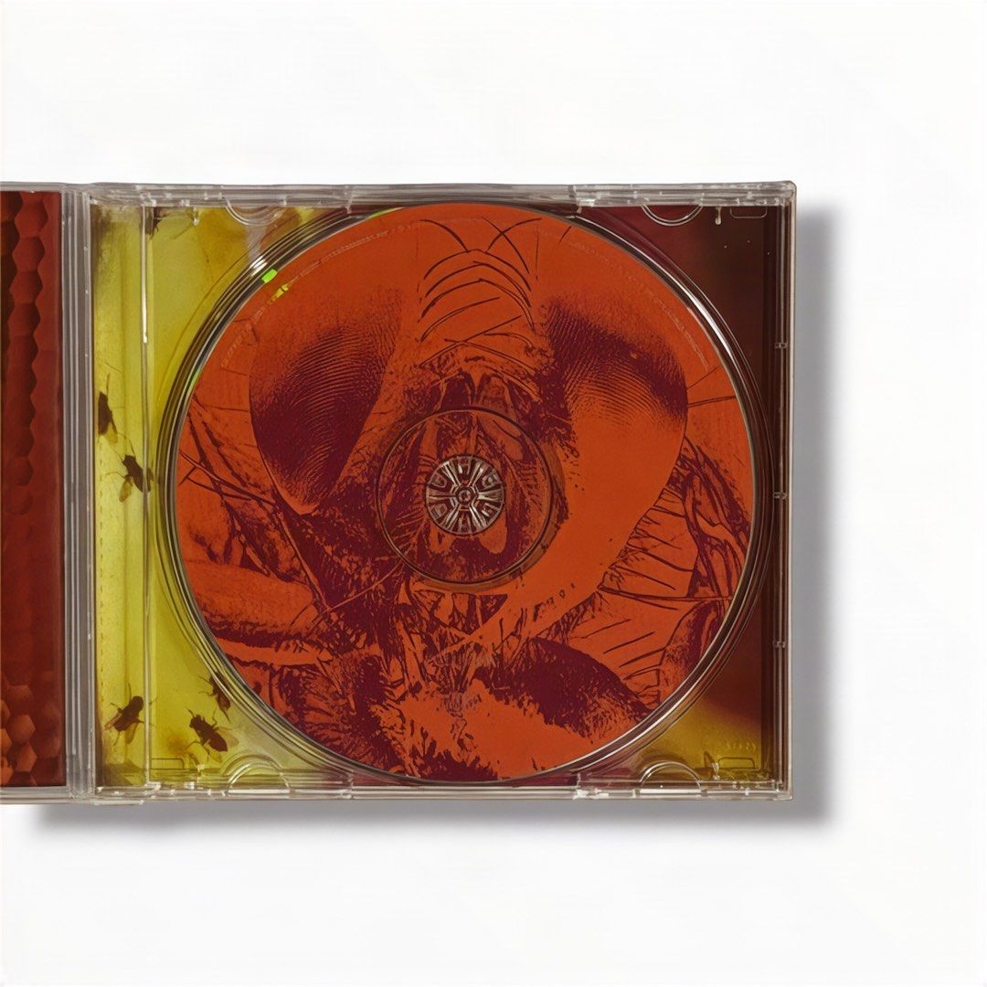 Alice In Chains - Jar Of Flies (Category: CDs & DVDs) located in Manila. Submitted by ladystqrdust (Listing ID 1461701201, Image 3). Description: .