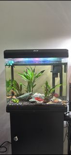 (Category: ) located in . Submitted by warmbird_7287fe (Listing ID 1461631103, Image 1). Description: .