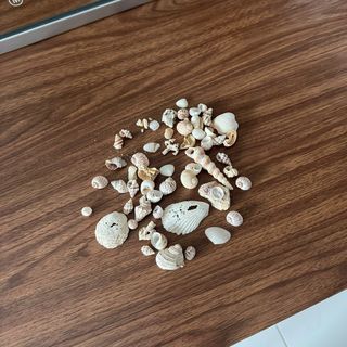 (Category: ) located in . Submitted by polarized75613 (Listing ID 1461663770, Image 1). Description: .