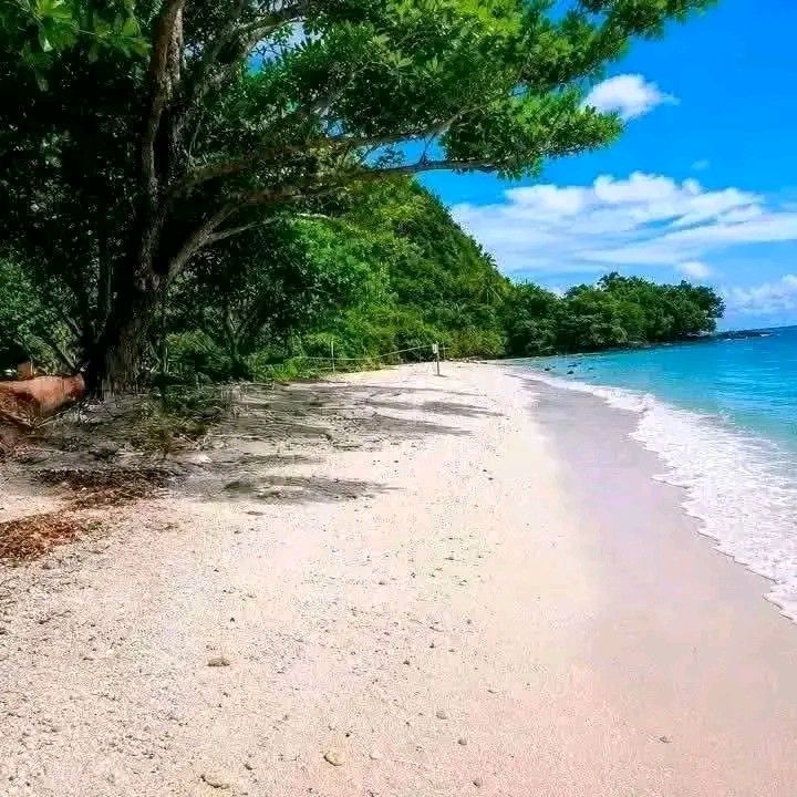 Beachfront installment (Category: Lot) located in Manila. Submitted by agent_camil (Listing ID 1461718055, Image 3). Description: BEACHFRONT LOT SA MAUBAN, QUEZON! 🏖️⛰️ *JOVITA FARM | Brgy. Cagsiay 2, Sanpian* ✅200sqm ₱10,000/sqm lang! ✅ Titled + Mountain View + Fruit Trees ✅ Tabing National Highway ✅ May Drainage, Road, Muhon ✅ *5 YEARS TO PAY!* ₱10K Reserve | 20% DP *FREE SITE VIEWING* 🚐.