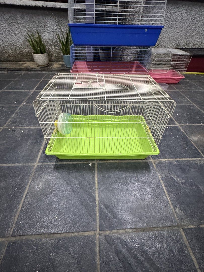 Cage (Category: Homes & Other Pet Accessories) located in Kuala Lumpur. Submitted by katoyota2962 (Listing ID 1461699362, Image 3). Description: For guinea pig , hamster and rabbit.