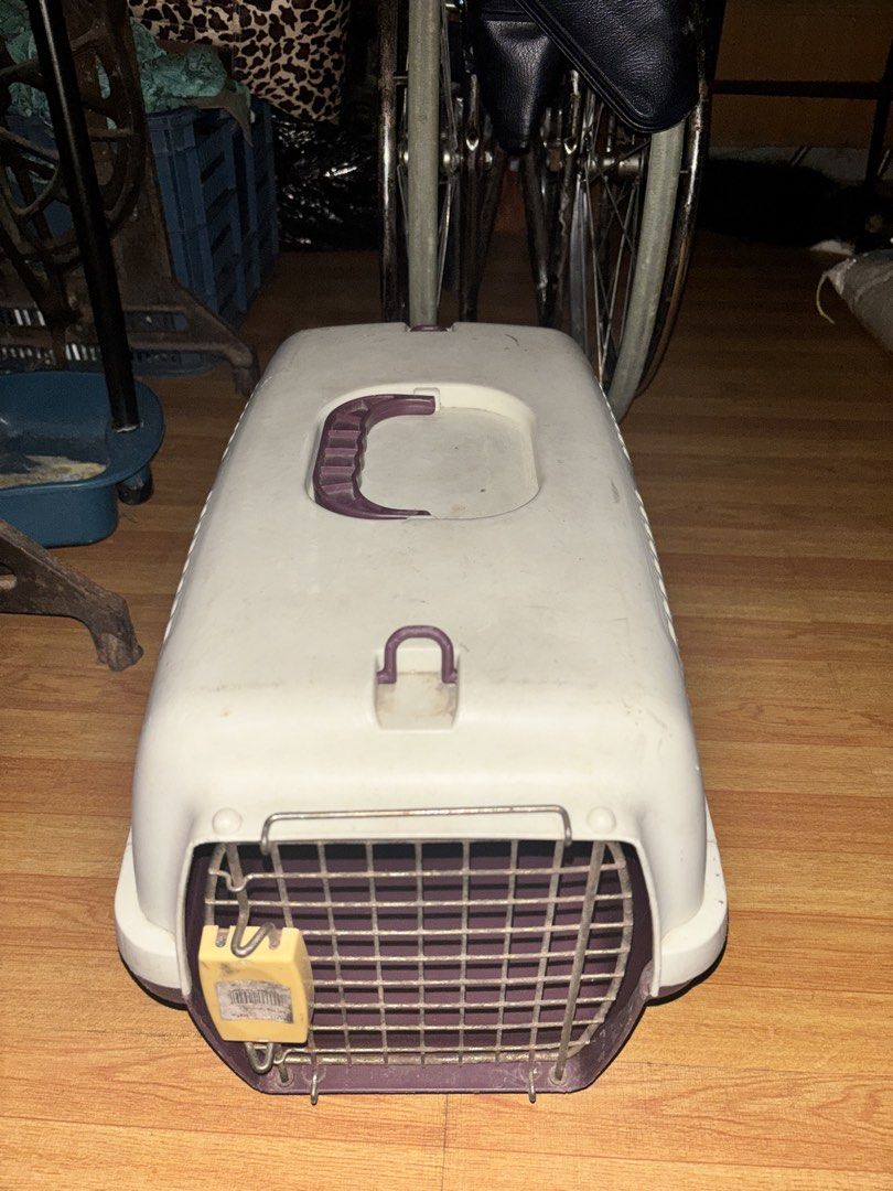 Cage Hard Shell Plastic Small Pet Carrier (Category: Homes & Other Pet Accessories) located in Manila. Submitted by jrn.0708 (Listing ID 1461760128, Image 1). Description: Dents only no issue, lack of cleaning need to dispose..