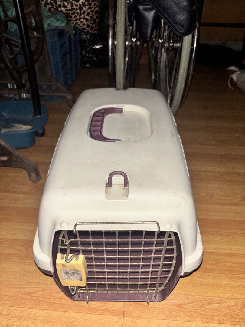 Cage Hard Shell Plastic Small Pet Carrier (Category: Homes & Other Pet Accessories) located in Manila. Submitted by jrn.0708 (Listing ID 1461760128, Image 2). Description: Dents only no issue, lack of cleaning need to dispose..