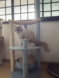 (Category: ) located in . Submitted by adpol (Listing ID 1461566927, Image 1). Description: .