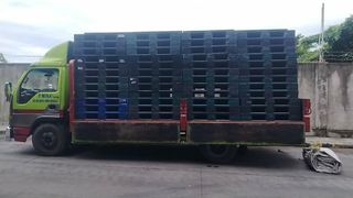 (Category: ) located in . Submitted by palletdepotph (Listing ID 1461726498, Image 1). Description: .