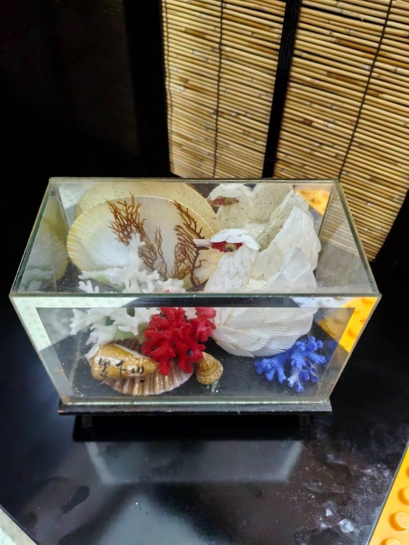 DIORAMA Glass Display Case (Category: Other Home Decor) located in Cebu City. Submitted by dudes_villanueva (Listing ID 1461660784, Image 2). Description: DIORAMA Glass Display Case 📌 Featuring an intricate handcrafted bird made from delicate white shells. 📌 In excellent condition. L6xW3.25xH4.75 in.