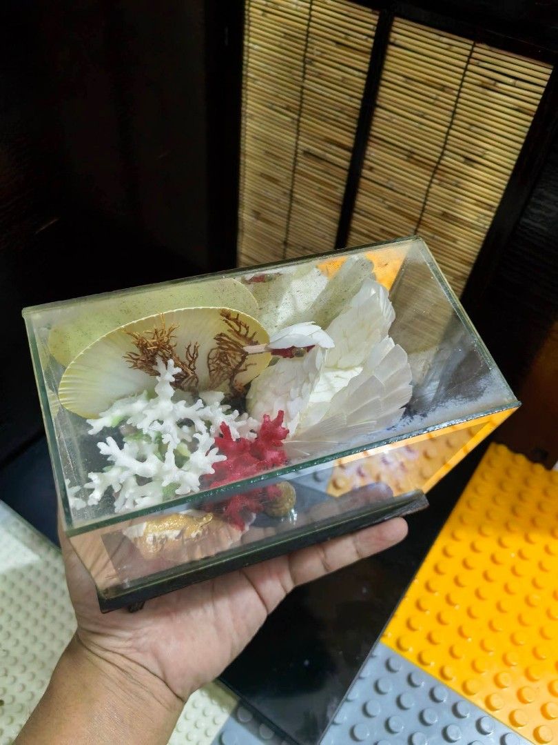 DIORAMA Glass Display Case (Category: Other Home Decor) located in Cebu City. Submitted by dudes_villanueva (Listing ID 1461660784, Image 3). Description: DIORAMA Glass Display Case 📌 Featuring an intricate handcrafted bird made from delicate white shells. 📌 In excellent condition. L6xW3.25xH4.75 in.