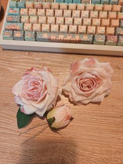 (Category: ) located in . Submitted by _hana____ (Listing ID 1461704810, Image 1). Description: .