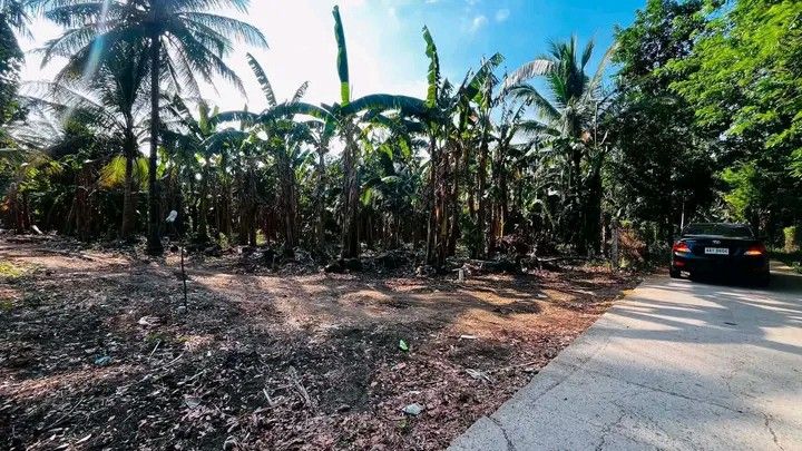 LOT FOR SALE INSTALLMENT (Category: Lot) located in Manila. Submitted by agent_camil (Listing ID 1461713772, Image 1). Description: 🌿 MINI FARM FOR SALE SA CANDELARIA, QUEZON! 🌿 📌 ₱750K Total Price (500 SQM @ ₱1500/sqm) ✅ 36 Months to Pay Zero Interest) ✅ May Fruit Trees na (Lanzones, Rambutan, Niyog) ✅ Along barangay road ✅ Hindi binabaha & Gagamitin mo na agad after DP! 📩 DM US NOW for FREE Site Viewing!.