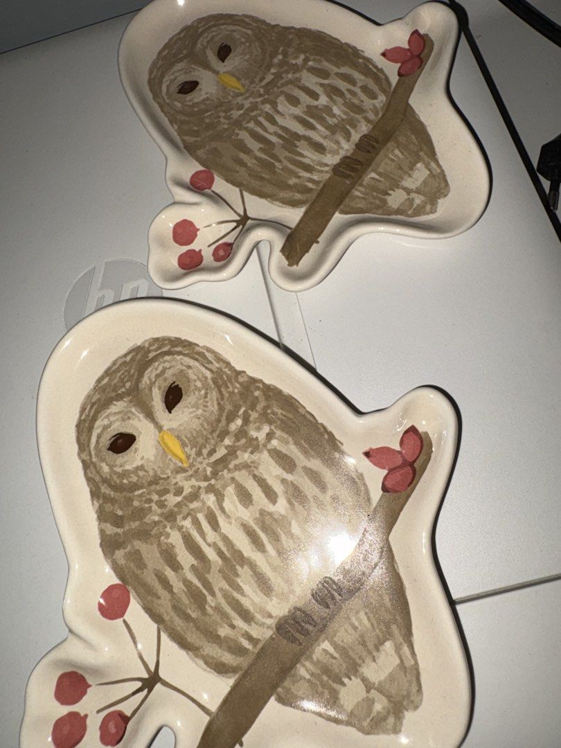 Owl plate decor (Category: Other Kitchenware & Tableware) located in Caloocan City. Submitted by rabbithole2026 (Listing ID 1461578806, Image 1). Description: .