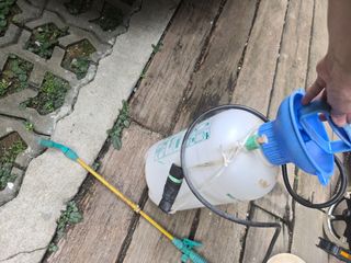 (Category: ) located in . Submitted by epicriver.7c316d (Listing ID 1461740627, Image 1). Description: .