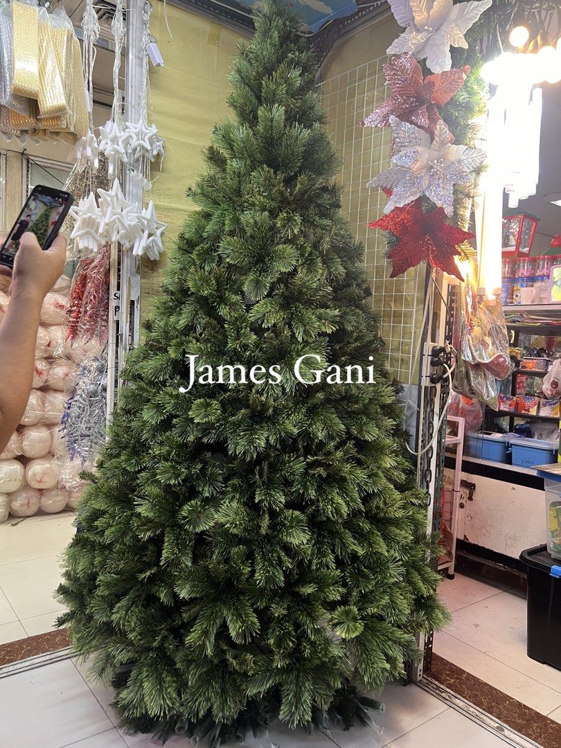 Sugar Vinyl Christmas tree (Category: Looking For) located in Manila. Submitted by jamesgani08 (Listing ID 1461631821, Image 1). Description: We have many sizes 6ft,7ft,8ft,10ft,12ft,15ft.