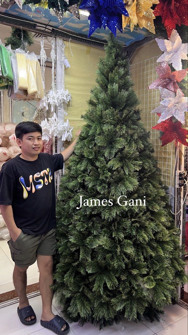 Sugar Vinyl Christmas tree (Category: Looking For) located in Manila. Submitted by jamesgani08 (Listing ID 1461631821, Image 3). Description: We have many sizes 6ft,7ft,8ft,10ft,12ft,15ft.