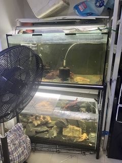(Category: ) located in . Submitted by fishineed (Listing ID 1461823248, Image 1). Description: .