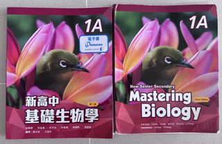 （分類：）位於 。 由 cindyeveasa 提交（商品編號 1462020245，圖片 1）。簡介： 。