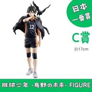 女性向Figure ~ 日本預訂最新 Figure "長期接受預訂!!" Collection item 3