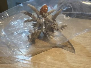 （分類：）位於 。 由 tiklamlam 提交（商品編號 1461961461，圖片 1）。簡介： 。