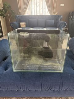 (Category: ) located in . Submitted by dondondoni (Listing ID 1461889240, Image 1). Description: .