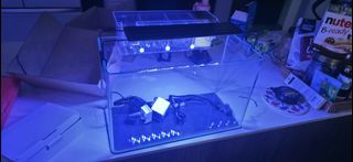 (Category: ) located in . Submitted by aan_mustafa (Listing ID 1461839681, Image 1). Description: .