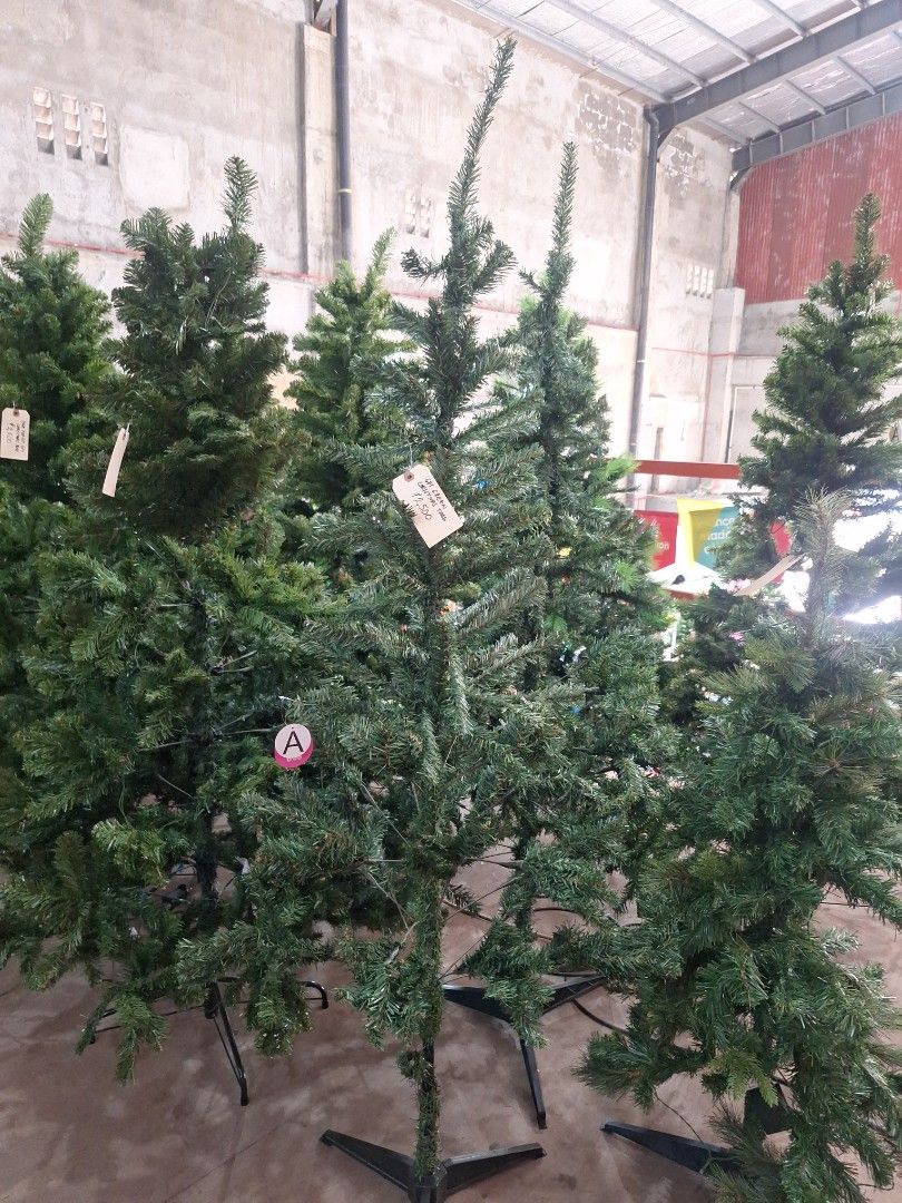 Christmas Tree with Lights (Category: Artificial Plants & Flowers) located in Muntinlupa City. Submitted by shopandsaveau (Listing ID 1461822587, Image 3). Description: 6ft P2,500 also available in other ft. PM for details 📍 Google Map Pin: Shop and Save Australian Surplus - RETAIL No. 30 Kengi Marketing, RMT Industrial Complex, Tunasan, Muntinlupa City, Metro Manila Open Mon-Sat 8:30am to 5:30pm.