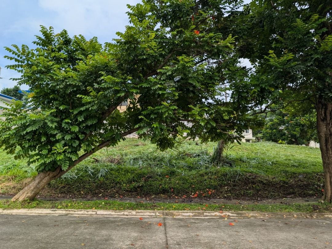 For Sale: Avida Parkway Settings, Nuvali (Category: Lot) located in Caloocan City. Submitted by propertyper (Listing ID 1461810327, Image 1). Description: Avida Parkway Settings, Nuvali Lot 3, Blk 27, Neva St., Avida Parkway Settings Nuvali, Brgy. Canlubang, Calamba, Laguna 135sqm Near Clubhouse Irregularly shaped 11.5 meter frontage Flat land Flood free & gated subdivision ACDC 121 Payment terms accepted by Seller Pre-Accredited for Bank Loan .