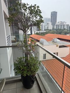 (Category: ) located in . Submitted by davlapar7516 (Listing ID 1461827196, Image 1). Description: .