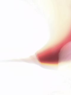 (Category: ) located in . Submitted by poincare465 (Listing ID 1461930464, Image 1). Description: .
