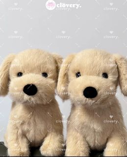 （分類：）位於 。 由 clovery. 提交（商品編號 1461895491，圖片 1）。簡介： 。