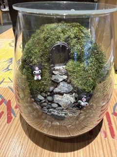 (Category: ) located in . Submitted by mossoraplants (Listing ID 1462012405, Image 1). Description: .