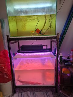 (Category: ) located in . Submitted by normalsgcitizen (Listing ID 1461895236, Image 1). Description: .