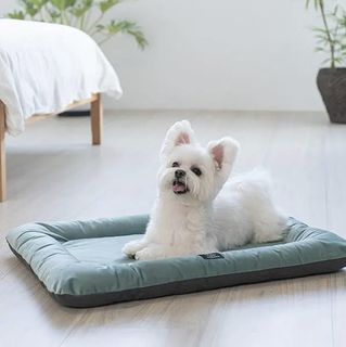 （分類：）位於 。 由 chaseeeeeeee 提交（商品編號 1461844099，圖片 1）。簡介： 。